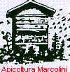 Apicoltura Marcolini